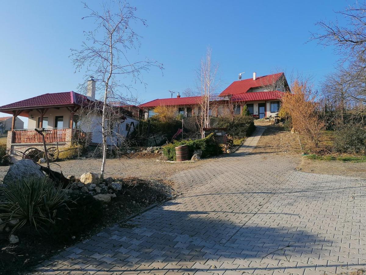 Penzion Nad Jezerem Pavlov Bagian luar foto