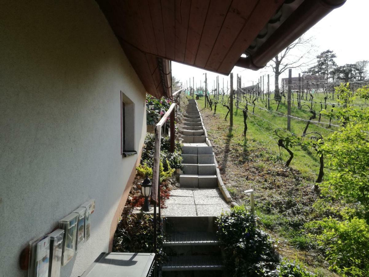 Penzion Nad Jezerem Pavlov Bagian luar foto