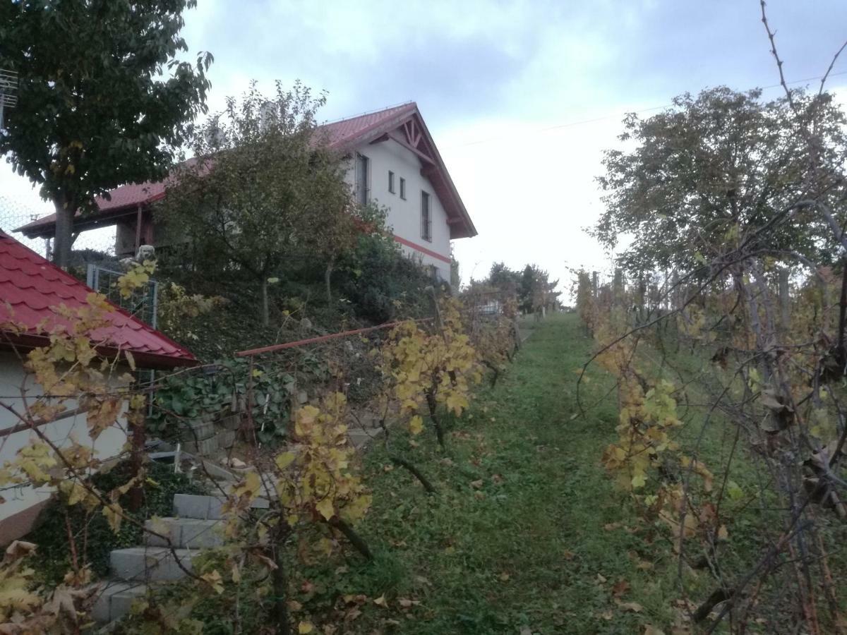Penzion Nad Jezerem Pavlov Bagian luar foto