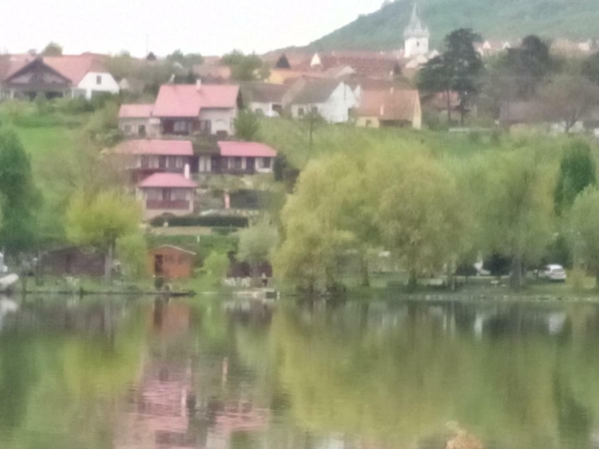 Penzion Nad Jezerem Pavlov Bagian luar foto